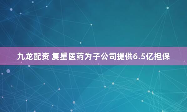 九龙配资 复星医药为子公司提供6.5亿担保